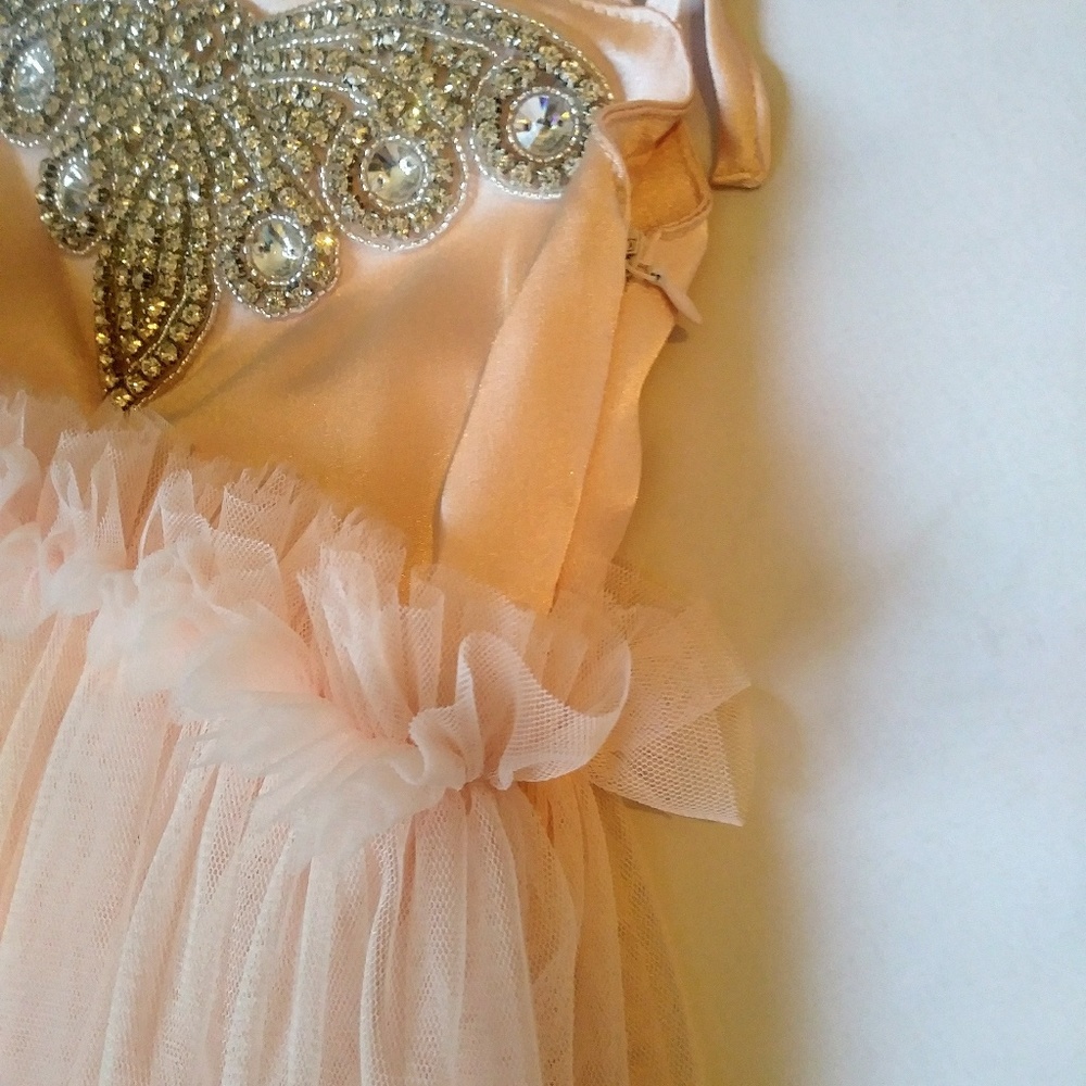 Toddler Girl Light Pink Butterfly Tutu Dress - Picture 3 of 4
